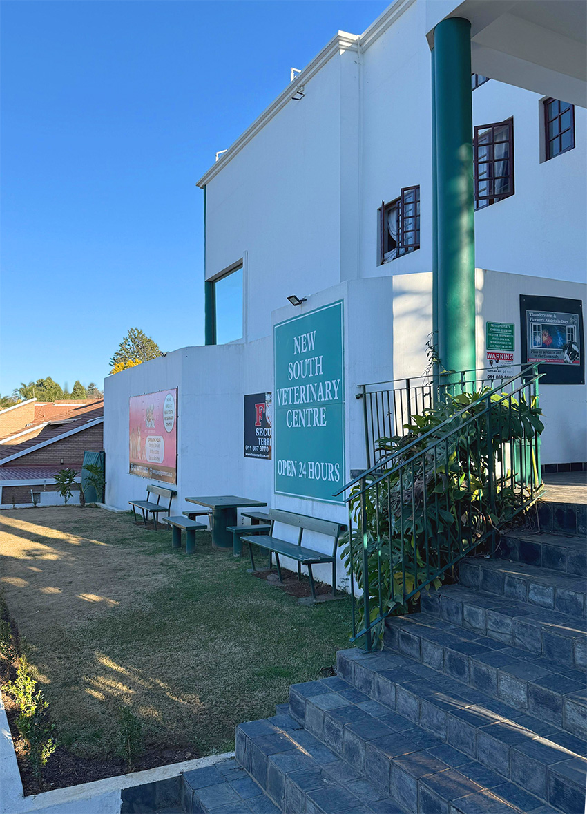 New South Veterinary Centre hospital Glenvista Johannesburg South