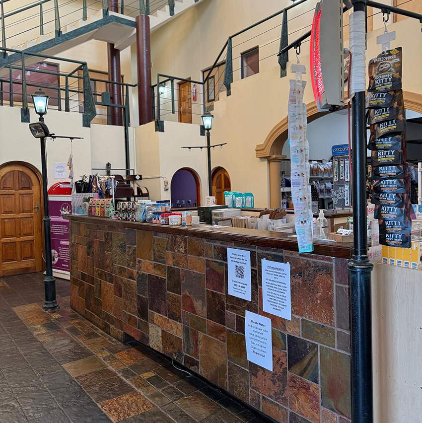 New South Veterinary Centre veterinary team Johannesburg South
