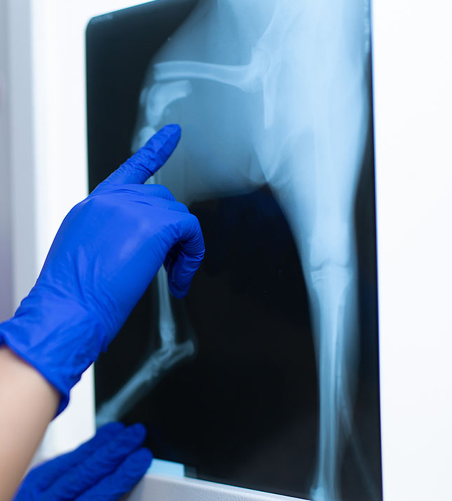 vet diagnostics X-ray laboratory Glenvista