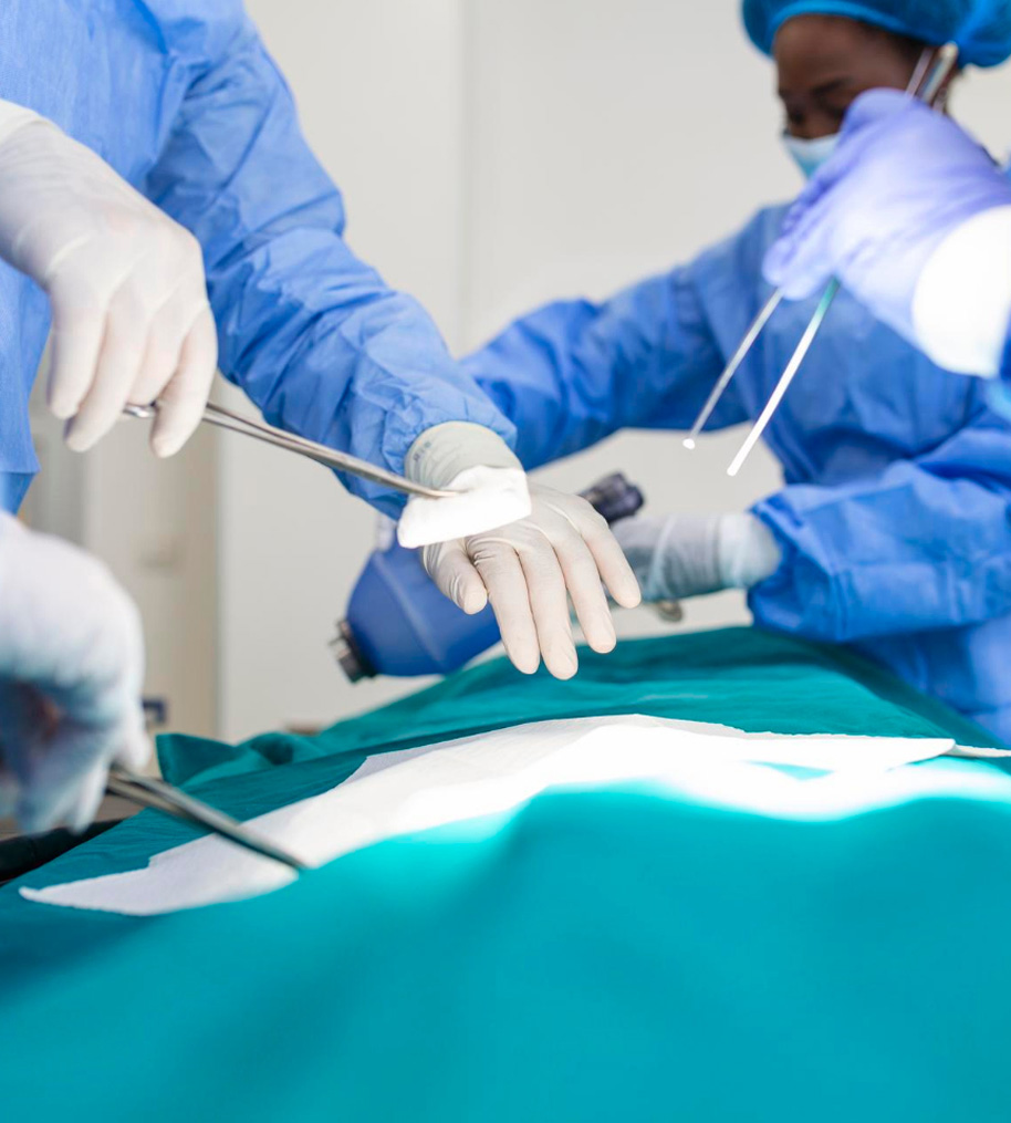 veterinary surgery Johannesburg South NSVC